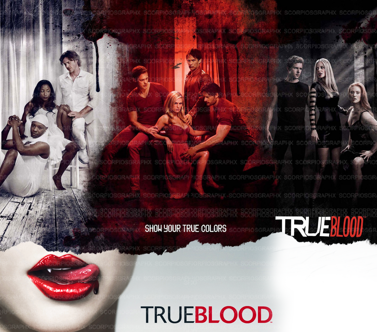 True Blood PNG | Sublimation | Tumbler Wrap Design | Digital Download